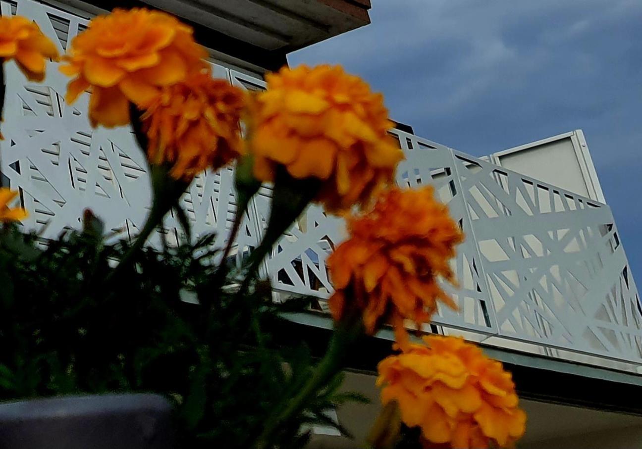 Villa Sunshine Baum Marina Esterno foto